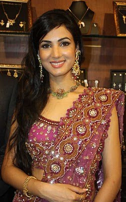 Sonal Chauhan new photos