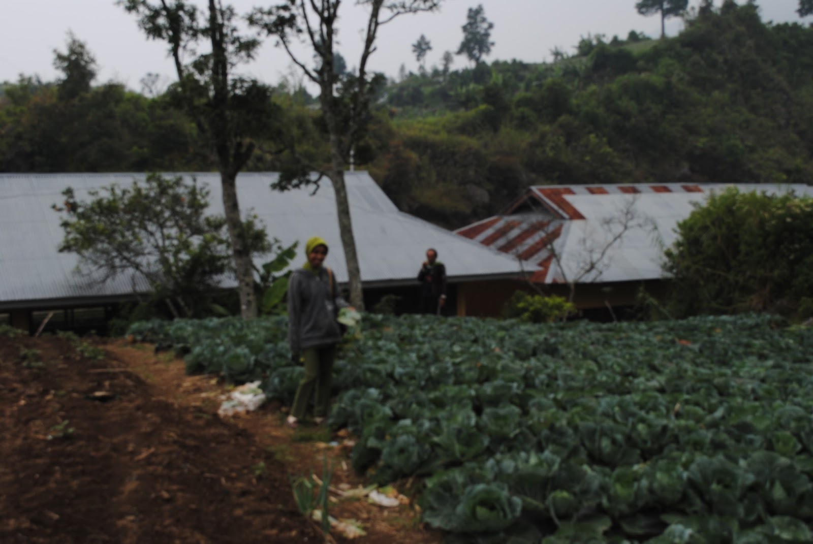 Salingka Danau Kembar