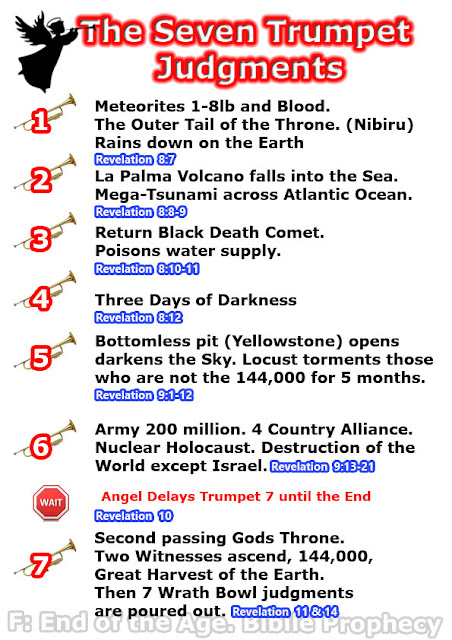 seven trumpet judgements angels, nibiru passing, fiery hail and blood, la palma volcano collapse, return black death comet wormwood, three days nights darkness, sun moon stars, yellowstone erupts, locust 144,000, 5 months, nuclear holocaust, russia, china, north korea, iran, NATO, 200 million army, serpant, 13 months, 1/3 population, seventh angels delayed, little scroll, eat, second passing nibiru throne, trumpet, jesus rapture harvest dead, sickle still alive, Great hail,  Pastor Prophet Justin Roberts - End of the age bible prophecy