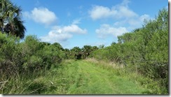 LJ Trailview 2