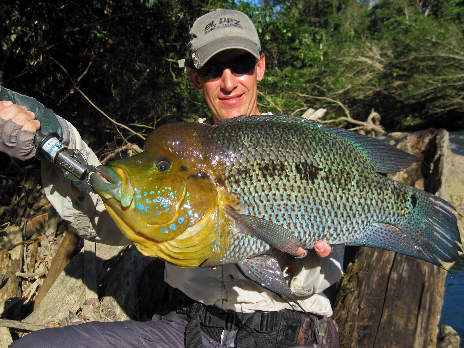 Record Freshwater Sunfish World record www.igfa.org