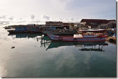 Resize of DSC_0005