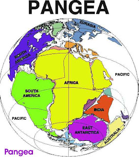 Súper continente, como se formó Pangea