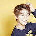Curiosidades Sobre o Taeil