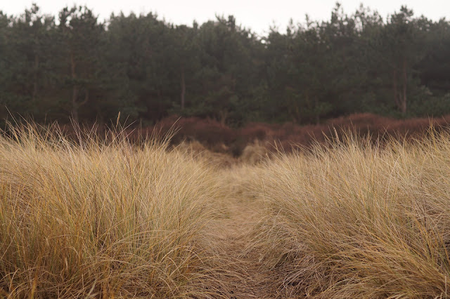 Wells Next The Sea beach in winter