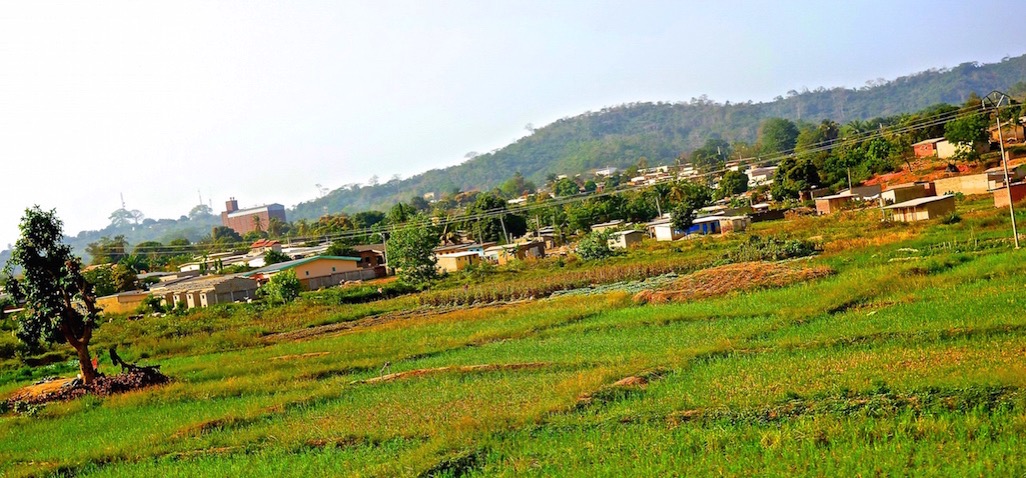 DSC00660