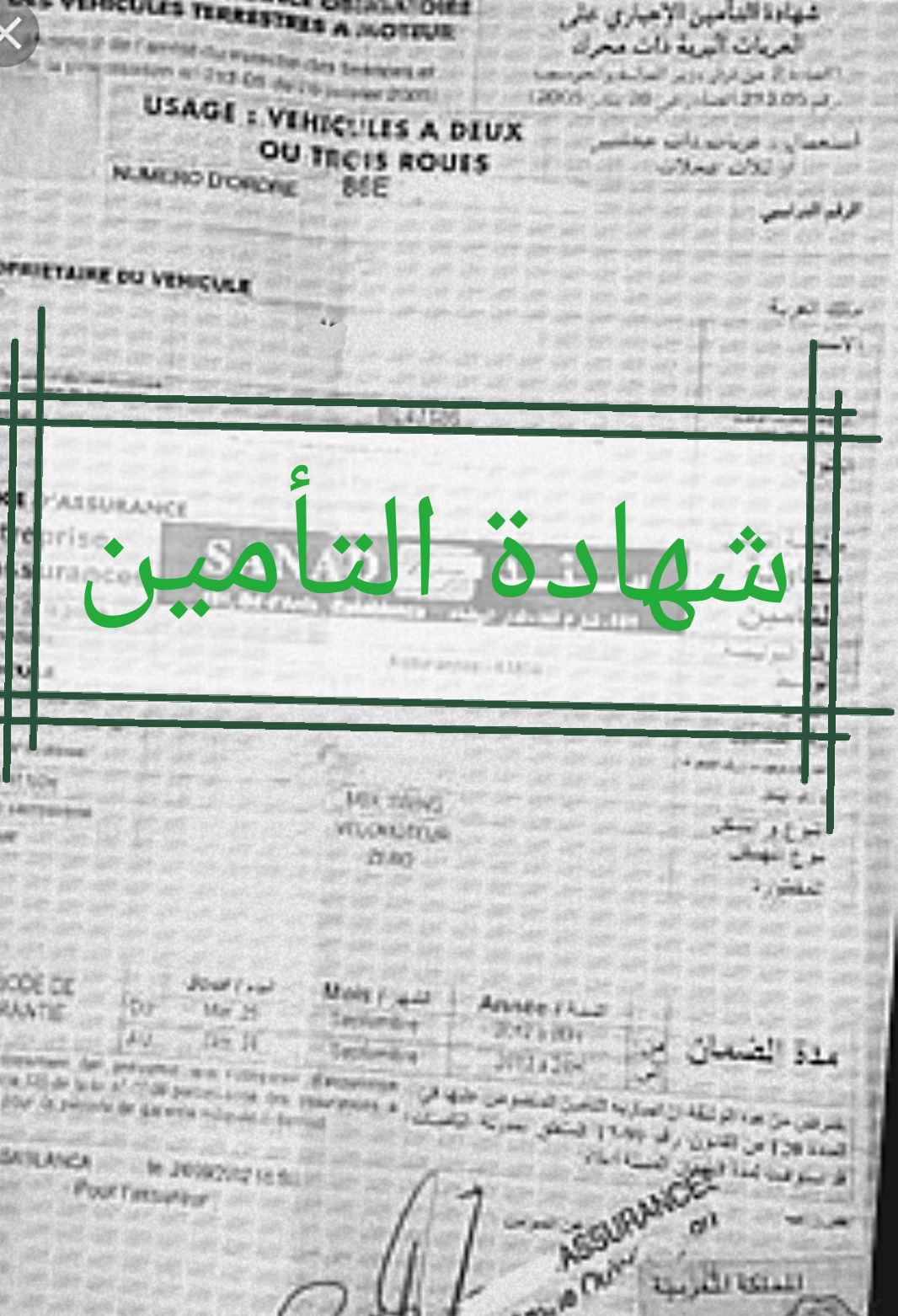 شهادة التأمين شهادة التأمين