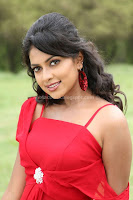 AMALA, PAUL, SPICY, HOT, NAVEL, PHOTOS