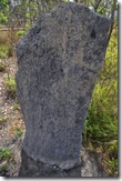 magnetic termite mound2
