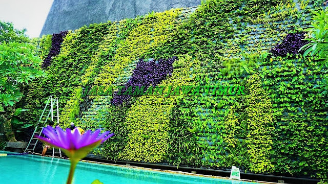 JASA TUKANG TAMAN VERTICAL SURABAYA, JASA PEMBUATAN VERTICAL GARDEN SURABAYA, JASA VERTICAL GARDEN SURABAYA BARAT, SURABAYA UTARA, SURABAYA TIMUR, SURABAYA SELATAN,  JASA PEMBUATAN TAMAN DINDING SURABAYA, JASA PEMBUATAN GREEN WALL SURABAYA, JASA PEMBUATAN ARTICIAL PLANT SURABAYA, JASA PEMBUATAN TAMAN VERTICAL GARDEN SINTETIS SURABAYA, HARGA PEMBUATAN VERTICAL GARDEN DI SURABAYA, GAMBAR VERTICAL GARDEN SURABAYA, KONSEP VERTICAL GARDEN SURABAYA, JASA TUKANG TAMAN VERTICAL GARDEN MURAH DI SURABAYA, JASA PEMBUATAN VERTICAL GARDEN INDOOR, JASA PEMBUATAN VERTICAL GARDEN OAUTDOOR, segera hubungi kami untuk mendapatkan pelayanan terbaik, roof garden murah, roof garden design, roof garden minimalis, roof garden sederhana, roof garden detail, roof garden medan, roof garden semarang, drainasecell roof garden, versicel roof garden, roof garden indonesia, roof garden jakarta, roof garden system, roof garden, roof garden adalah, drainasecell, versicell, alat roof garden, cara membuat roof garden, peralatan roof garden, roof top, top roof garden, taman dak atas, cara membuat taman dak, taman atap roof garden, taman roof garden, roof garden apartment, tukang taman vertikal, vertikal garden murah, vertikal garden sederhana, vertikal garden jakarta, tukang taman vertical, vertical garden murah, vertical garden sederhana, vertical garden jakarta, tukang taman vertikal di cibubur, tukang taman vertikal bintaro, tukang taman vertikal tangerang, tukang taman vertikal jakarta, tukang taman vertikal serpong, tukang taman vertikal jakarta , tukang taman vertikal bekasi, tukang taman vertikal di bintaro, tukang taman vertikal semarang, tukang taman vertikal pekalongan, tukang taman vertikal batang, tukang, taman vertikal cirebon, tukang taman vertikal karawang, tukang taman vertikal surabaya, tukang taman vertikal solo, tukang taman vertikal yogyakarta, tukang taman vertikal bali, tukang taman vertikal medan, tukang taman vertikal batam, tukang taman vertikal jakarta timur, tukang taman vertikal jakarta pusat, tukang taman vertikal jakarta selatan, tukang taman vertikal jakarta barat, tukang taman vertikal jakarta utara, tukang taman vertikal tangerang, tukang taman vertikal serpong, tukang taman vertikal perumahan, tukang taman vertikal murah, tukang taman vertikal kalimantan, tukang taman vertikal makssar, tukang taman vertikal papua, tukang taman vertikal Lombok, vertikal sederhana, taman vertikal paralon, taman vertikal jakarta, taman vertikal pdf, taman vertikal dari botol bekas, taman vertikal murah, taman vertikal rumah minimalis, taman vertikal adalah, taman vertikal dalam rumah, taman vertikal, taman vertikal minimalis, taman vertikal anggrek, taman vertikal botol, taman vertikal di bandung, taman vertikal menggunakan botol bekas, taman vertikal dari batu bata, biaya taman vertikal, buat taman vertikal, contoh taman vertikal, cara taman vertikal, contoh taman vertikal garden, taman vertikal di rumah, taman vertikal di lahan sempit, taman vertikal di dinding, taman vertikal dinding, taman vertikal dengan paralon, taman vertikal depok, fungsi taman vertikal, foto taman vertikal, taman vertikal garden, taman gantung vertikal, gambar taman vertikal minimalis, cara membuat taman vertikal garden, gambar taman vertikal, griya taman vertikal, desain taman vertikal garden, taman vertikal hidroponik, taman vertikal harga, harga taman vertikal murah, taman vertikal indonesia, taman vertikal indoor, taman vertikal italia, ide taman vertikal