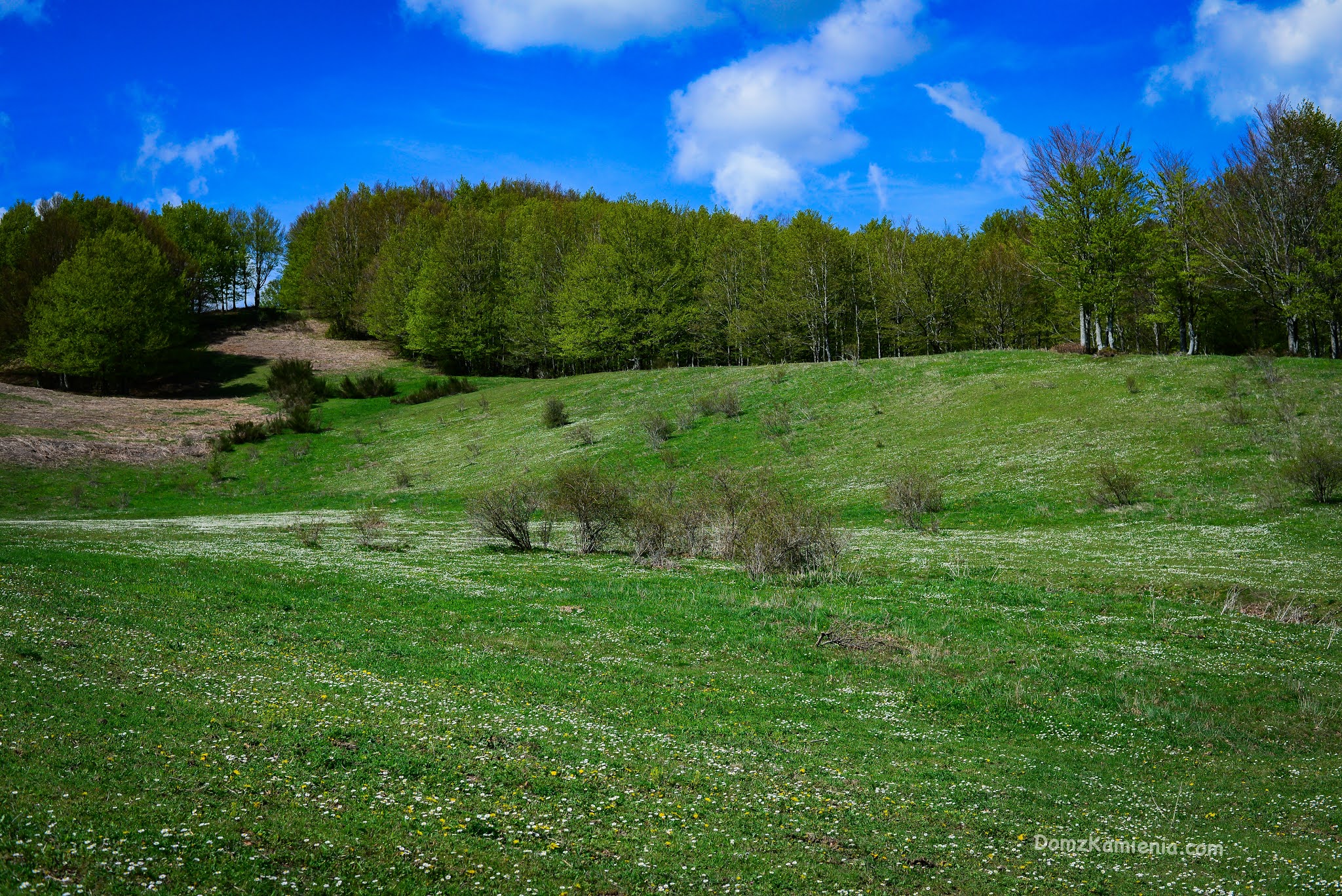 Trekking Toskania, monte Lavane, Marradi, blog Dom z Kamienia