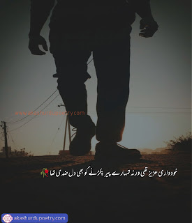 One line captions in urdu for Instagram one line poetry in urdu