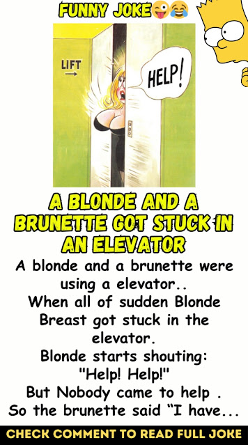 A blonde and a brunette got stuck in an elevator