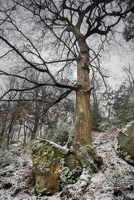 La Gorge aux Loups, forêt de Fontainebleau.