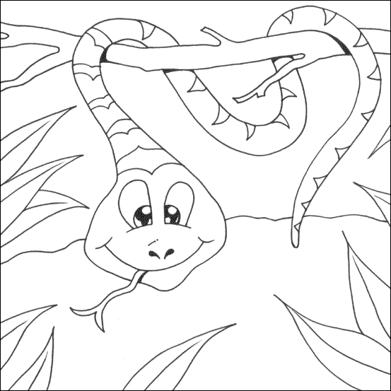 animal coloring pages