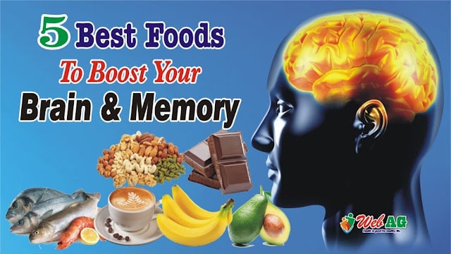 Brain Boosting Foods | Good Food for Brain Function