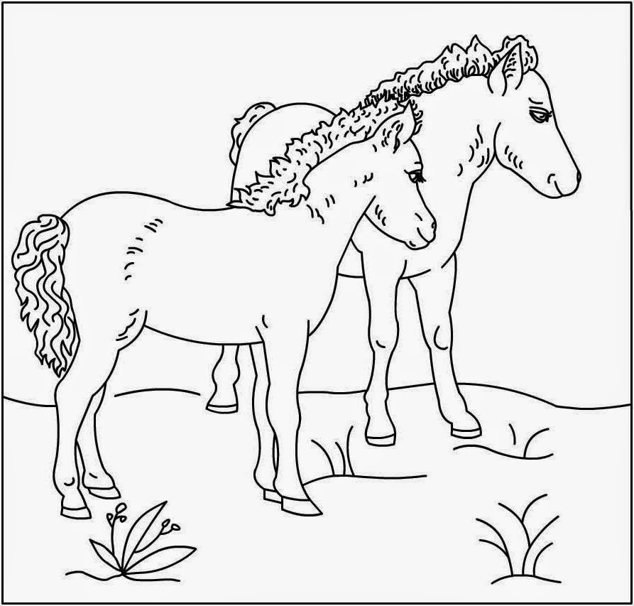 Horse Coloring Book 8
