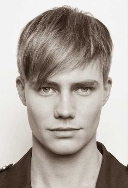 Mens Hairstyles 2013