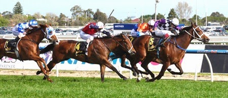 race 8_finish 2