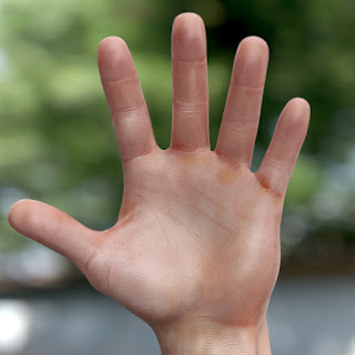 3d model male hand