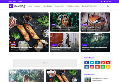 FlexBlog Blogger Template