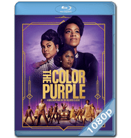 EL COLOR PÚRPURA (2023) BRRIP 1080P HD MKV ESPAÑOL LATINO