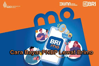 Cara Bayar PNBP Lewat Brimo : Paspor, Setoran KUA, SBN, BPN dan e-Tilang