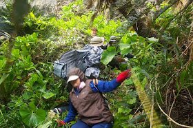 ropes help in descent to ocean