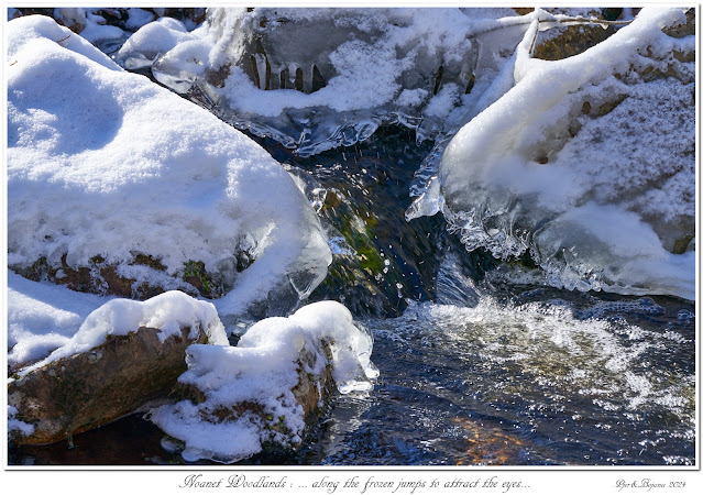 Noanet Woodlands: ... along the frozen jumps to attract the eyes...