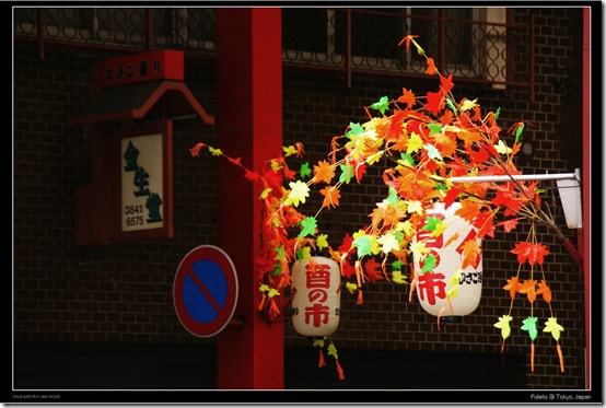 Asakusa49