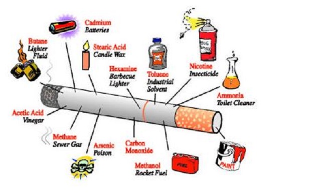 Rahasia Pabrik Rokok Ini Bisa Bikin Kamu Berhenti Merokok !!!