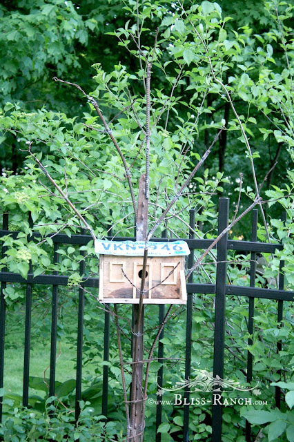 Metal Junk Sculpture Bird House, Bliss-Ranch.com