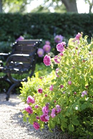 claus_080617_1435_02