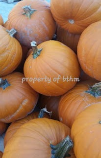 pumpkins 4