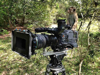 Mono con cámara de vídeo