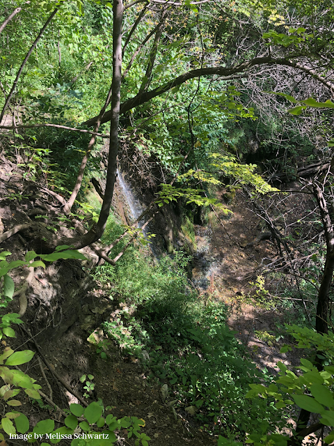 Shadow Falls delicately falls within a quilt of leafy green and grey-brown rocks.