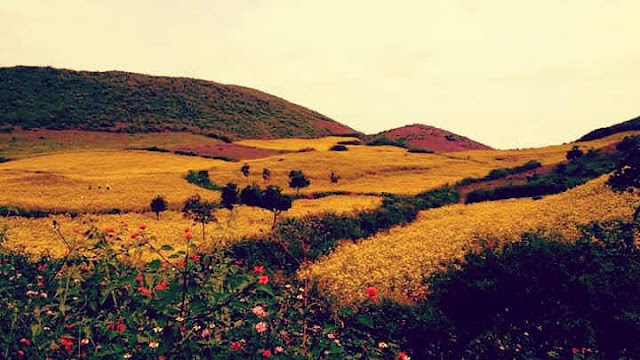 A Beautiful View of Nature at Damanjodi