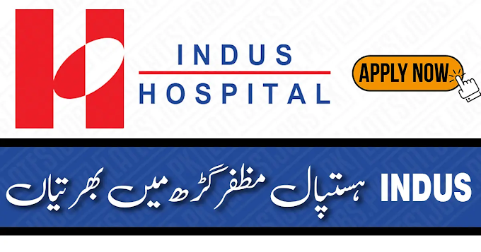 Indus Hospital Jobs Muzaffargarh 2024 - Consultant-ICU