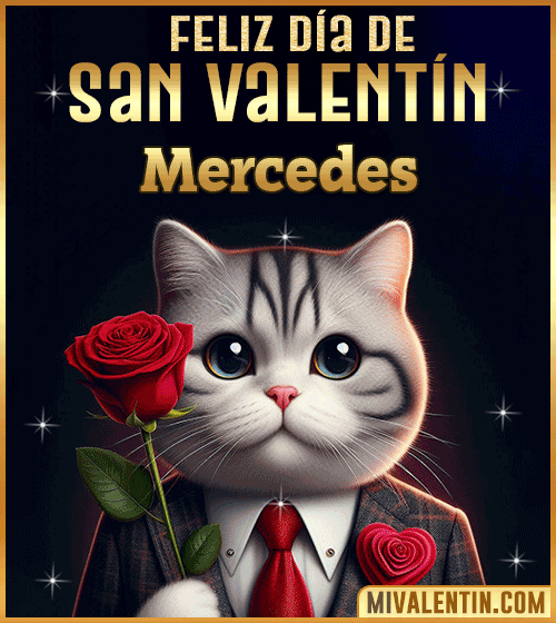 Gif con Nombre de feliz día de San Valentin Mercedes