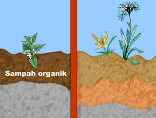 Pencemaran Lingkungan Materi Pencemaran Lingkungan