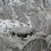 2011 Blizzard Creates a Romantic Fantasy Scene
