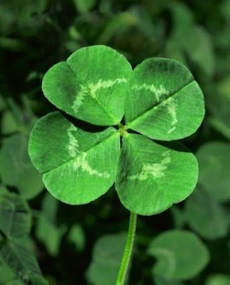  tattoo with two girlfriends from high school. I chose a four leaf clover 