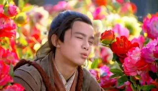 Wu Lei Romance of Condor Heroes