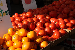picture of red and yellow tomatoes