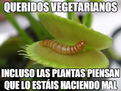 Memes vegetarianos