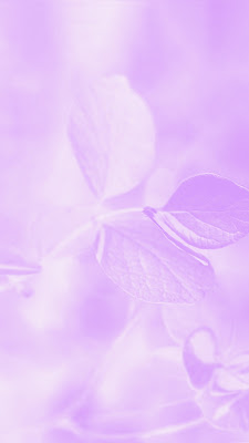 wallpaper bunga ungu aesthetic yang indah
