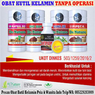 Obat Kutil Kelamin