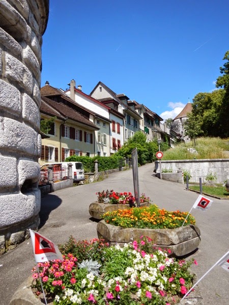 DSCN0130