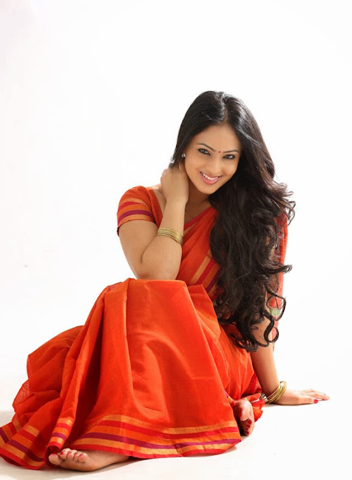 nikesha patel in saree latest photos