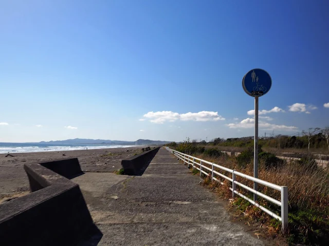 和田　自転車道